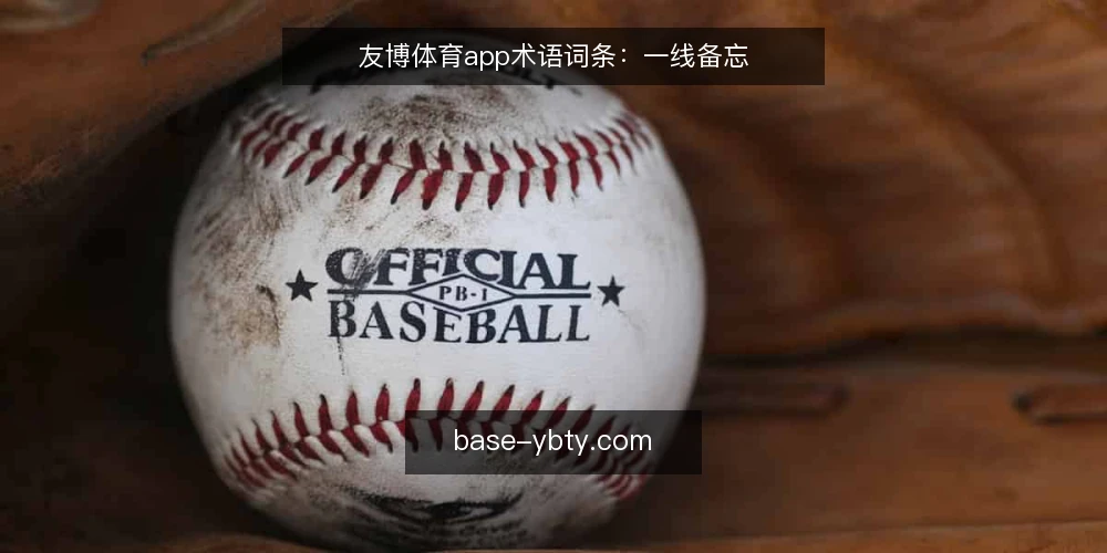 友博体育app术语词条：一线备忘 — 信号观察：识别关键术语 配图