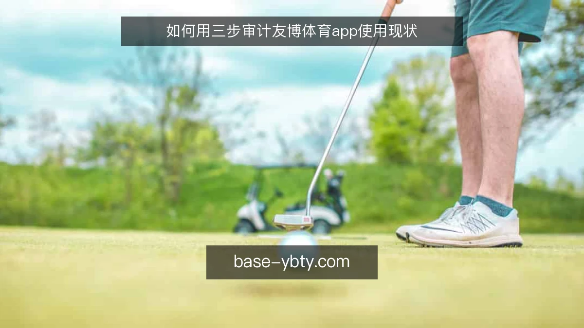 如何用三步审计友博体育app使用现状