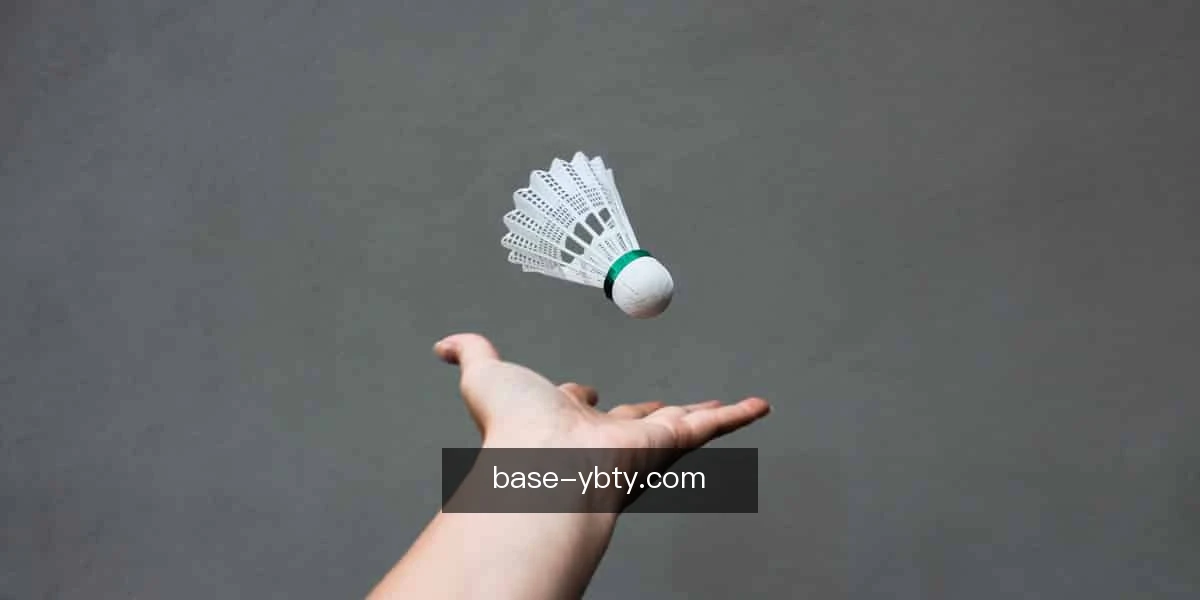 友博体育app训练营